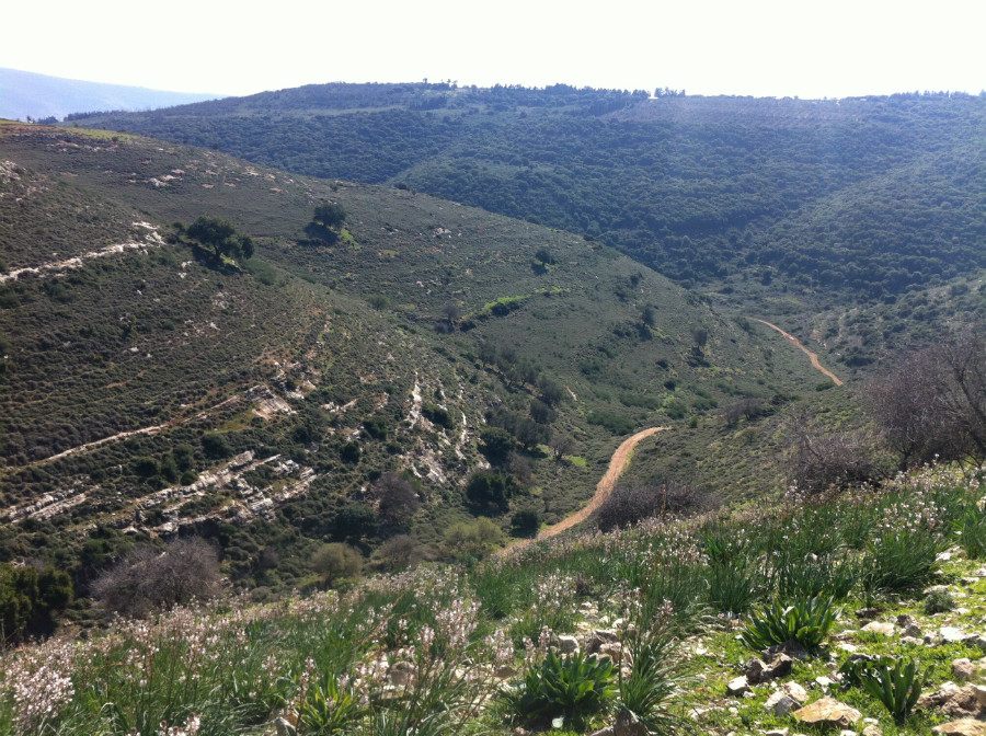 תרבות 2014 169