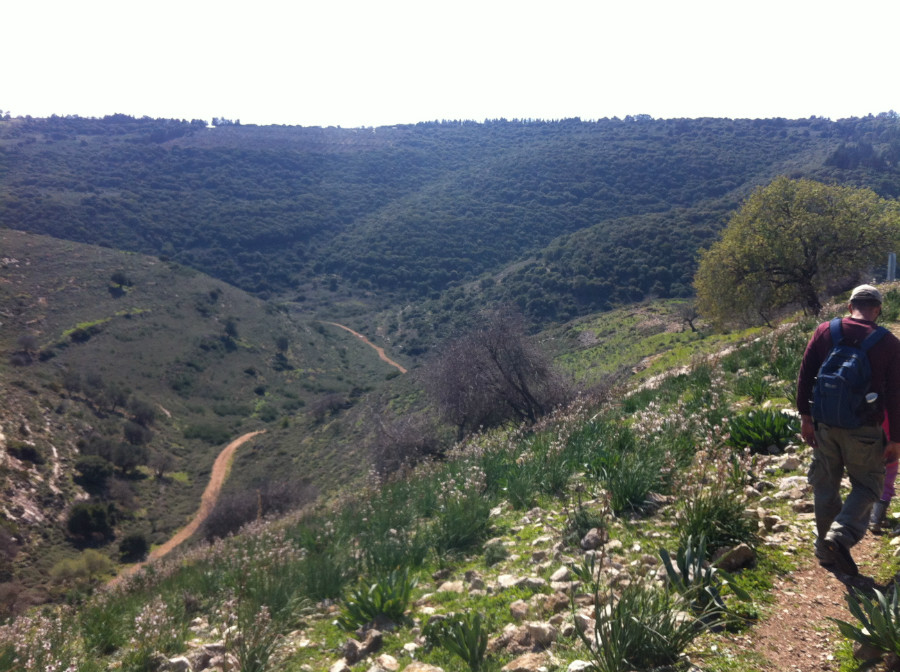 תרבות 2014 170