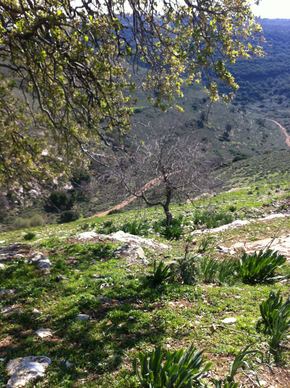 תרבות 2014 181