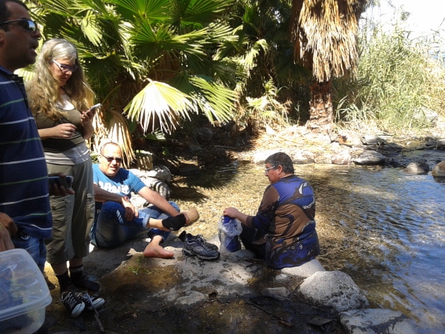 Hot water spring